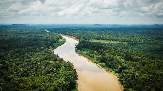 kinabatangan river mxb7kdk01luo42g8